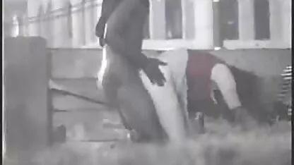 Negrii loden un delicios Bruneta pe bruneta se fute rau două trunchiuri